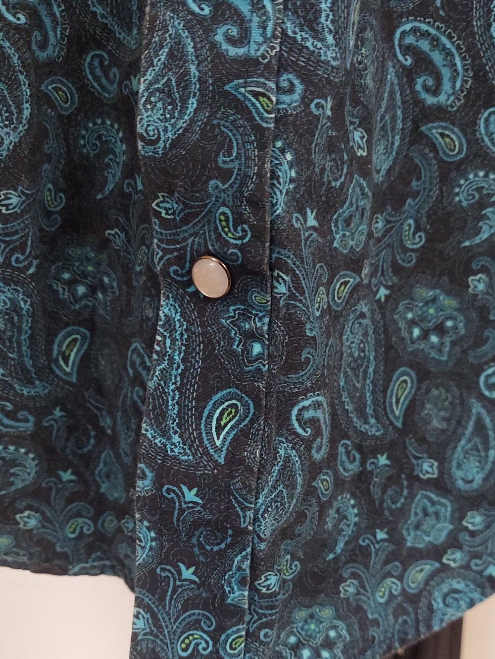 Panhandle Boy's Teal Black Paisley Western Long Sleeve Pearl Snap Shirt Sz M/10 - Picture 6 of 9